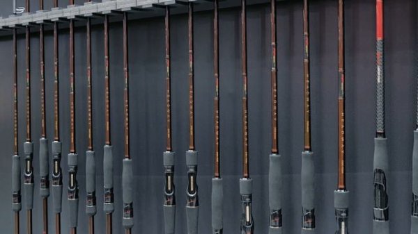 Zetrix Headway и Zetrix Orsa Nero от MIDA и Андрея Питерцова