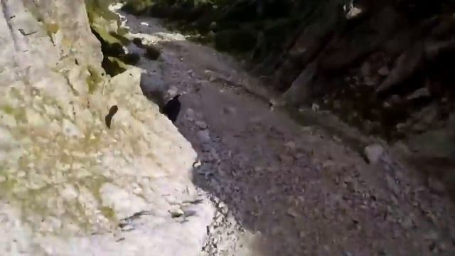 Долгополюк Татьяна Ивановна. Стихотворение "И, если случится так..." смотреть онлайн