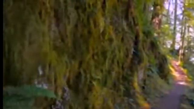 Живите с миром в душе ! смотреть онлайн