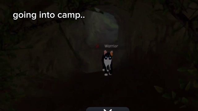 WCUE: If a Luna joined during the prey and map update смотреть онлайн