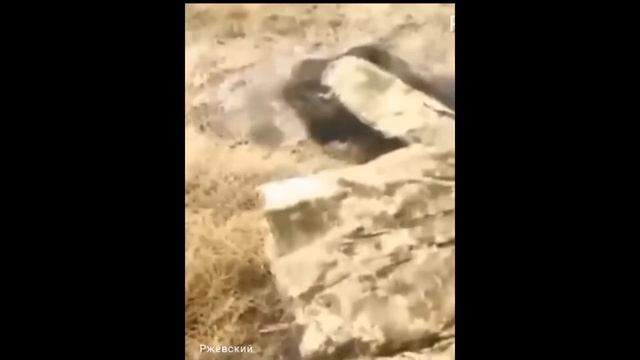 СКИДАВАЙ САПОГИ, ВЛАСТЬ ПЕРЕМЕНИЛАСЬ смотреть онлайн