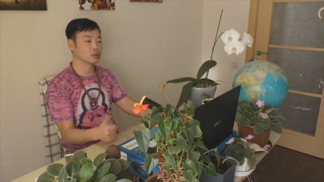 Мысль описывает и материализует этот мир, схлопывая в ТАКУЮ плотную версию. Пробуждение/Просветлени смотреть онлайн