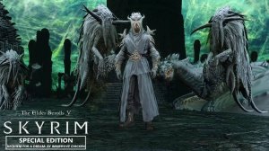 На Солтсхейм #71 TES Skyrim RfaD