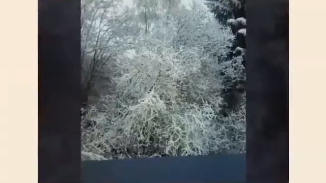 Hasič tv foto ALPY смотреть онлайн