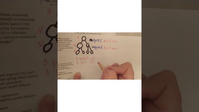 Çoxalma və ontogenez bölməsinə aid test tapşırıqlarının izahı(DİM 2019) смотреть онлайн