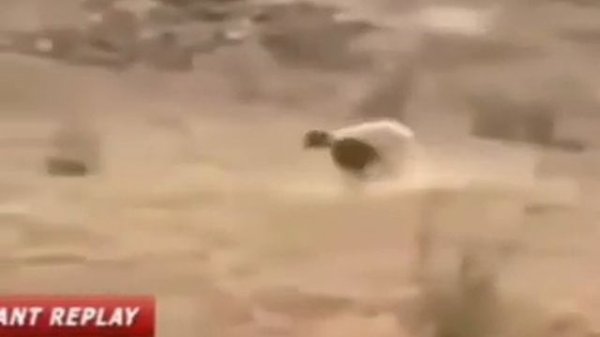 Новая реклама Duracell