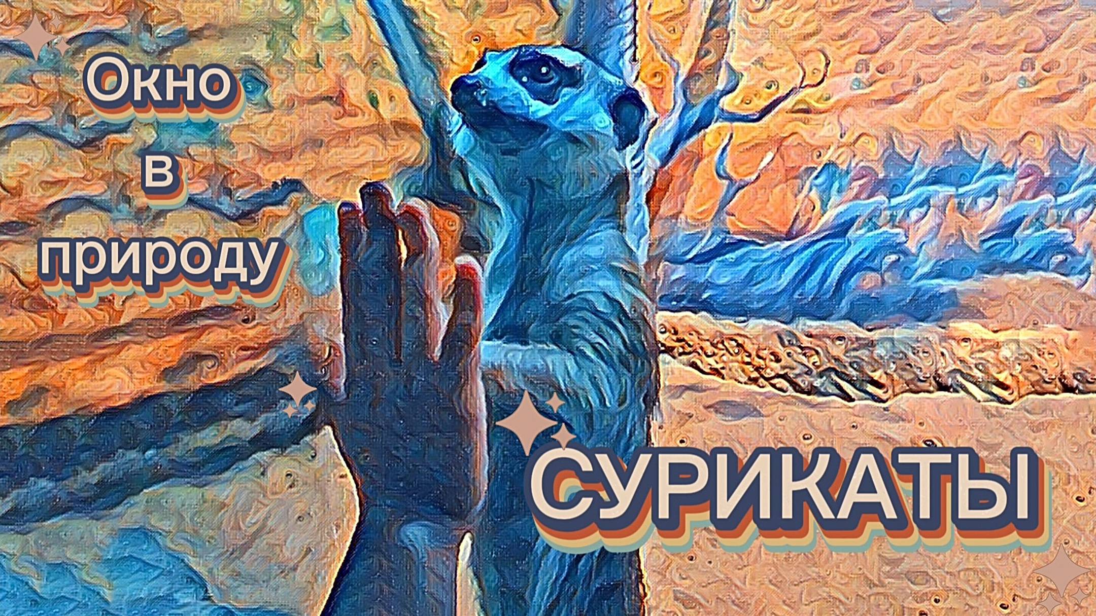Окно в природу. Наблюдаем за сурикатами. Воронежский океанариум смотреть онлайн