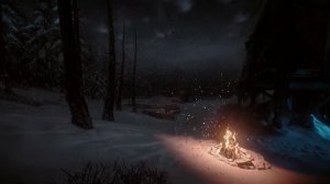 10 часов сильной метели у согревающего костра в ночном зимнем лесу