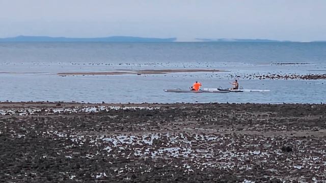 DJI Osmo Mobile 6 - Creative Tips For Beginners + Tutorials | DansTube.TV