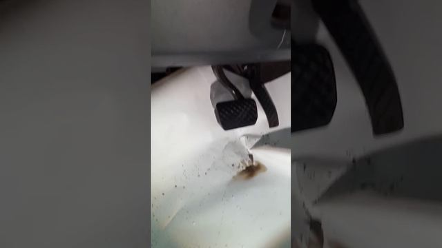 химчистка авто парогенератором Kerher