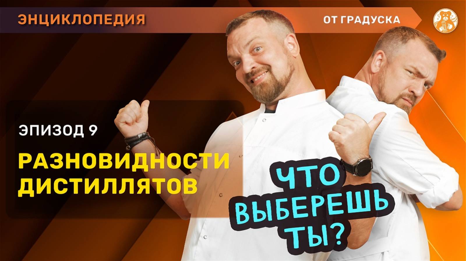 Виды дистиллятов и чем дистиллят отличается от ректификата смотреть онлайн