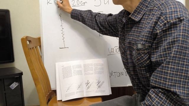 Урок 5. Обрезка. смотреть онлайн