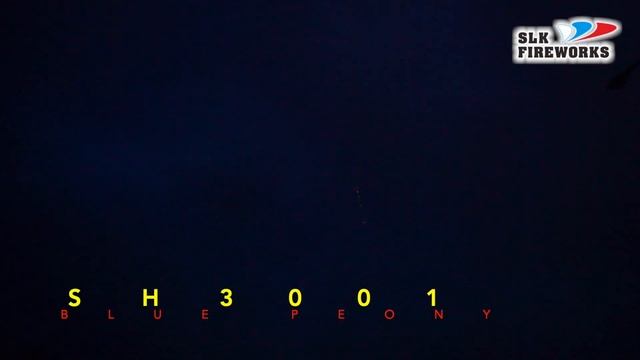 3" SH 3001 Blue peony (A) 72/1 смотреть онлайн