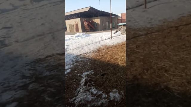 Обзор тракторов и как я установил обогреватель двигателя смотреть онлайн