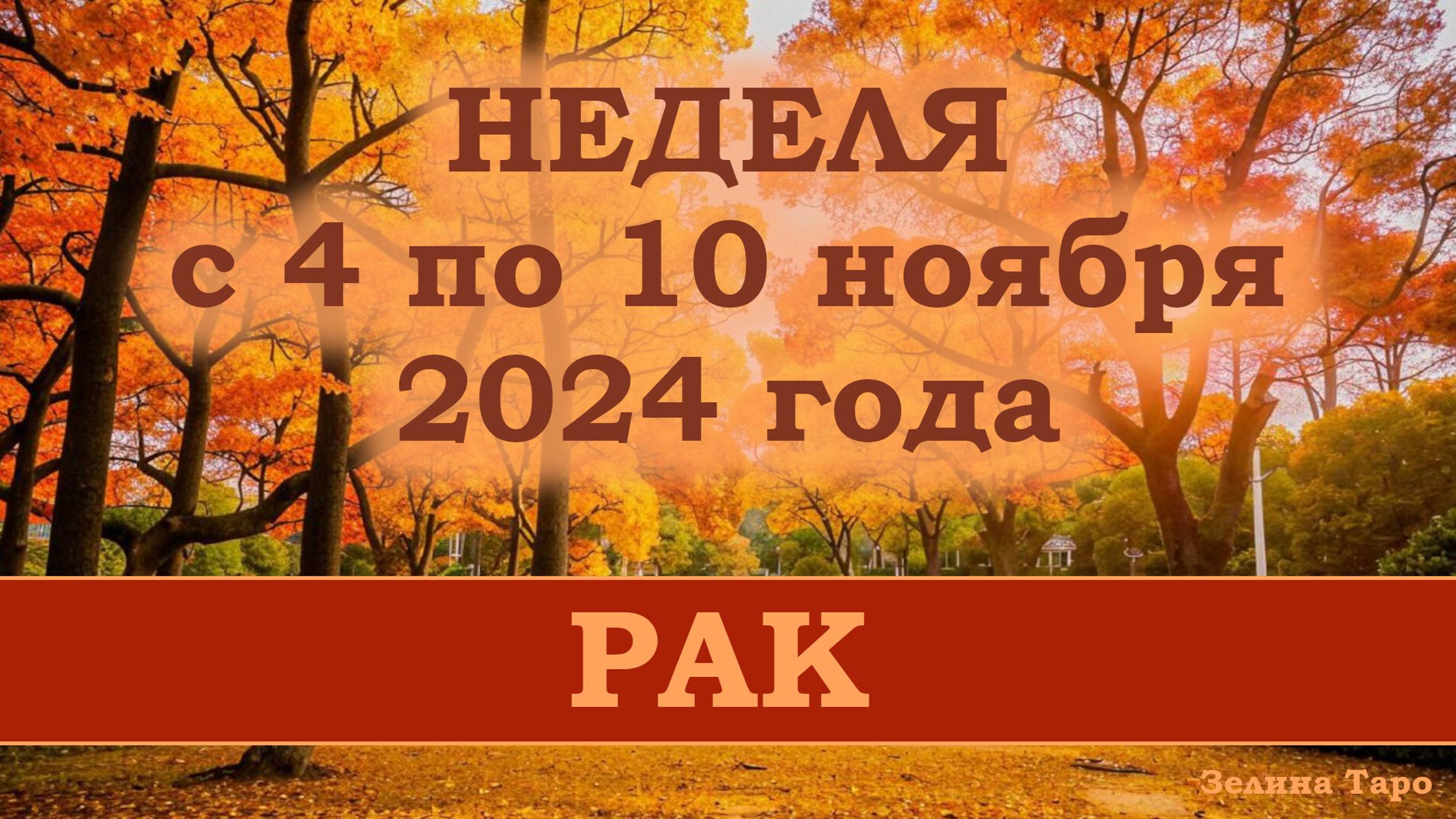 РАК | ТАРО прогноз на неделю с 4 по 10 ноября 2024 года