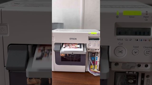 Печать цветных этикеток | Epson TM-C3500 #epson #этикеточныйпринтер #этикетки #наклейки #shorts смотреть онлайн