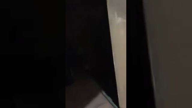 Jim v test HW смотреть онлайн