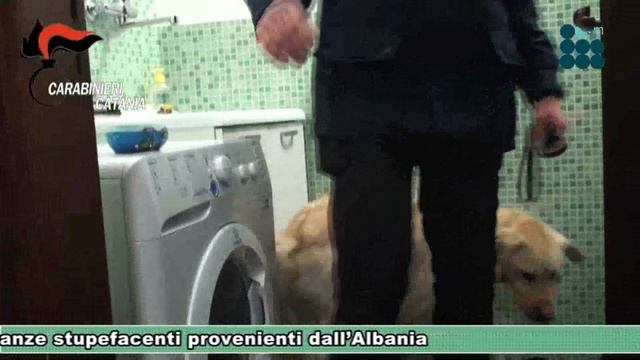 Mafia 9 arresti gruppo operante a Vizzini e Francofonte смотреть онлайн