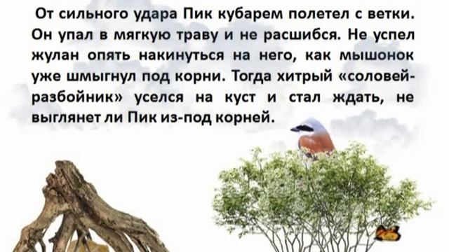 Виталий Бианки. "Мышонок Пик" смотреть онлайн