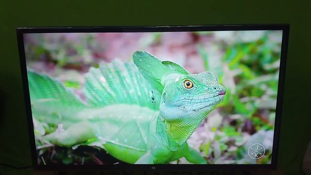 Mi TV 4A PRO 32 inch || Unboxing & In Depth Review || Is It worth ?? смотреть онлайн