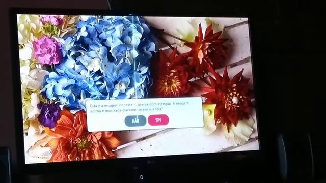 Teste de imagem samrt tv LG 28mt49s смотреть онлайн
