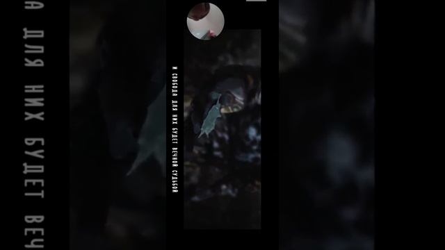 топ 3 песен s.t.a.l.k.e.r с моим лицом смотреть онлайн