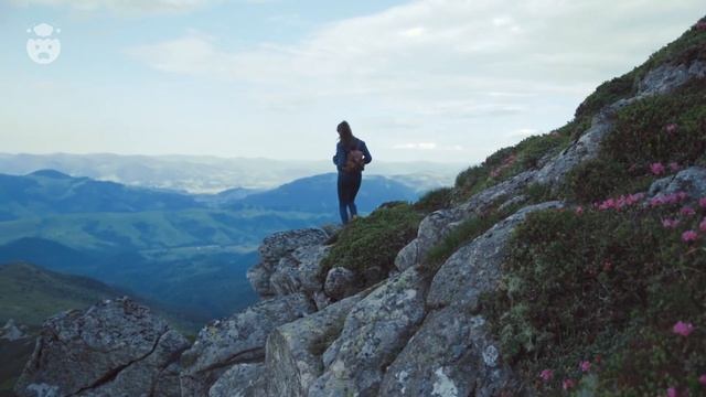 10 Things INTPs Hates смотреть онлайн