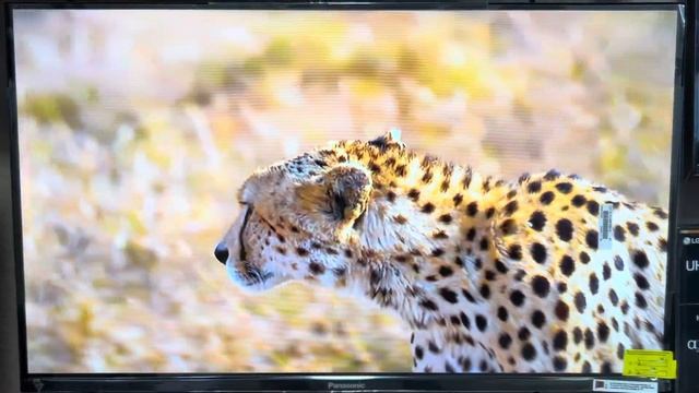 Panasonic led 2023 | Led tv Panasonic | Google tv| смотреть онлайн