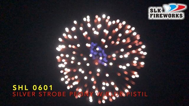 6" SHL 0601 Silver Strobe peony with Blue pistil L смотреть онлайн