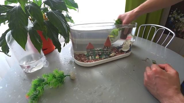 Аквариум Xiaomi часть-2 смотреть онлайн