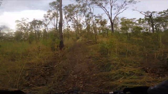 Hidden Valley MTB Trail dodging cyclone debris & down trees смотреть онлайн