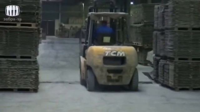 Зебра-ТВ: репортаж из Владимирской области смотреть онлайн
