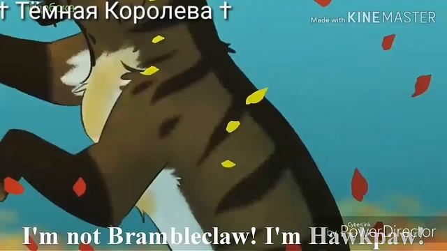 Коты воители клип - Darkside (Заказ) Ч.О смотреть онлайн