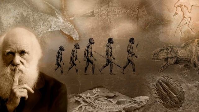 Дарвин и его теория смотреть онлайн