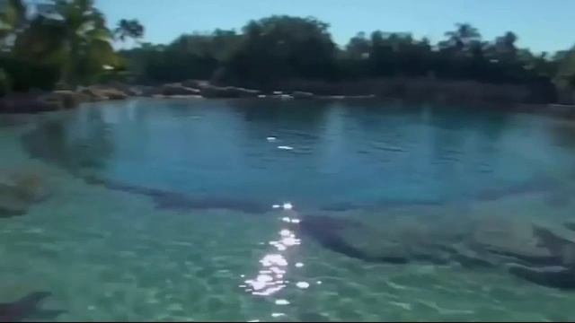 THE PROGRESSIVE HOUR IN THE MIX # Mix 552. # смотреть онлайн