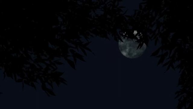 호랑이 전래동화 모음 / 잘때 틀고자기 좋은 잠 잘오는 / 심심할때 듣기 좋은 이야기 / 남자가 읽어주는 asmr /장작 타는소리 /진정/ 공부할때 듣기/ 전래동화읽어주기 смотреть онлайн