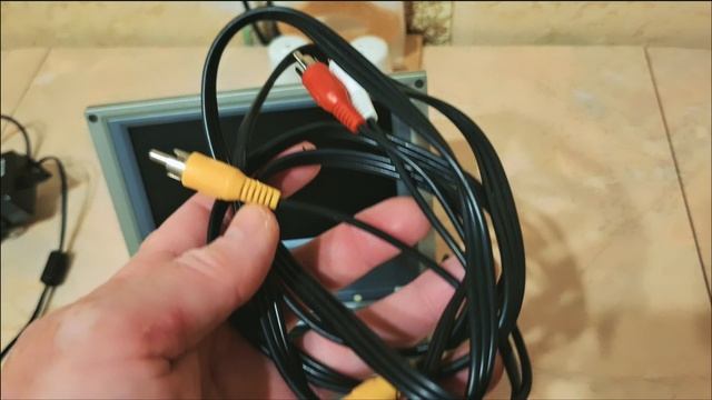 назад в будущее часть 4 #elenberg #рыжийтест #япестовв смотреть онлайн