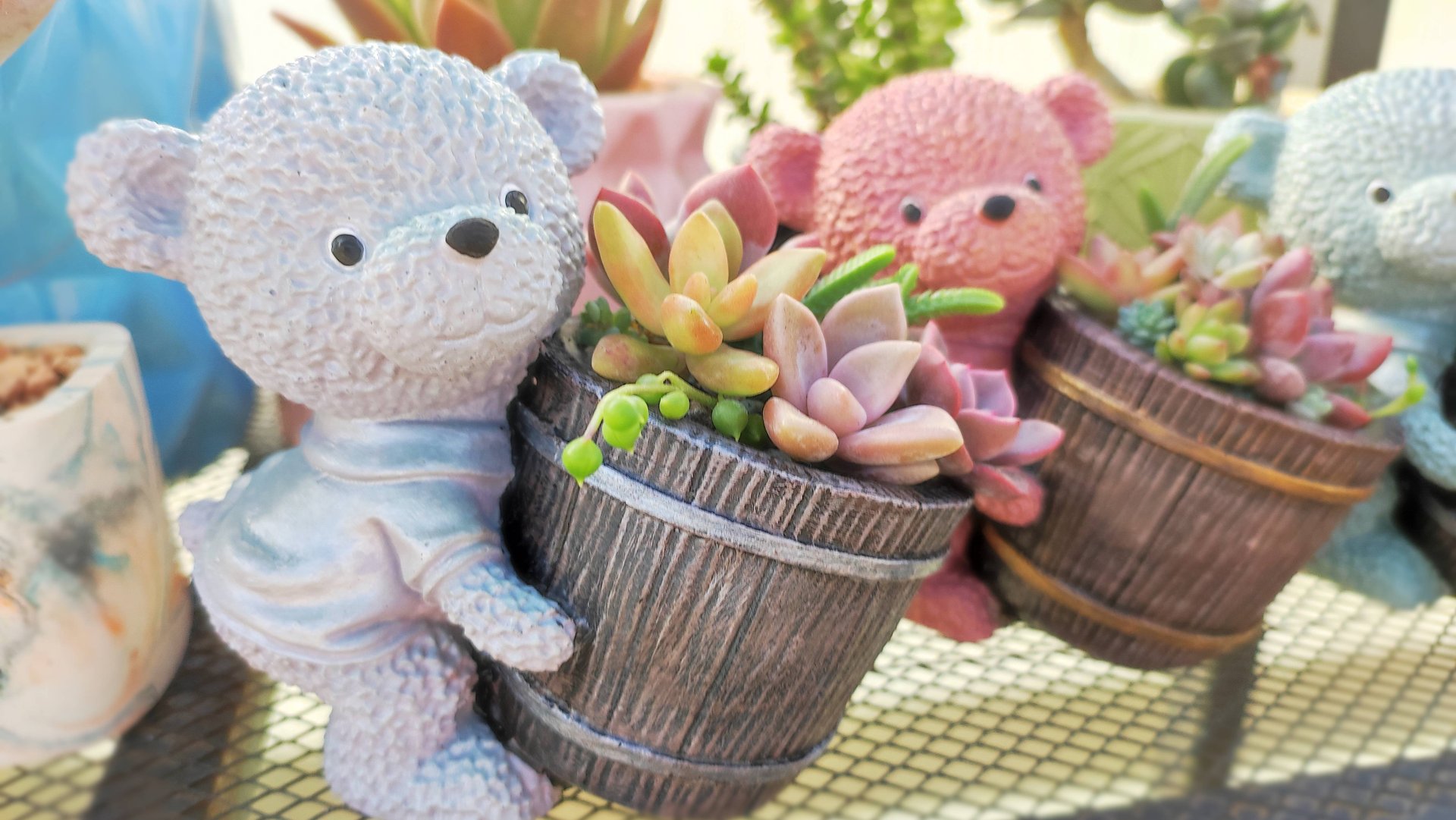 Новый молд для заливки из гипса! Кашпо для суккулентов своими руками, пошаговое видео. смотреть онлайн