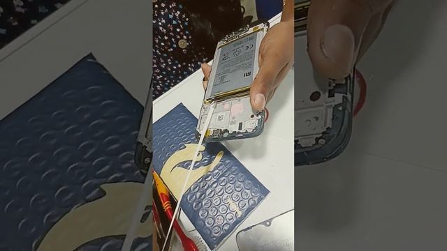 12 August 2023 смотреть онлайн