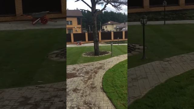 Рулонный газон и автополив. г. Ярославль #благоустройствоучастка #ландшафтныйдизайнучастка смотреть онлайн