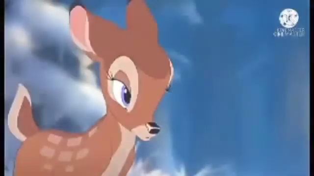 Animash - Bara Bere