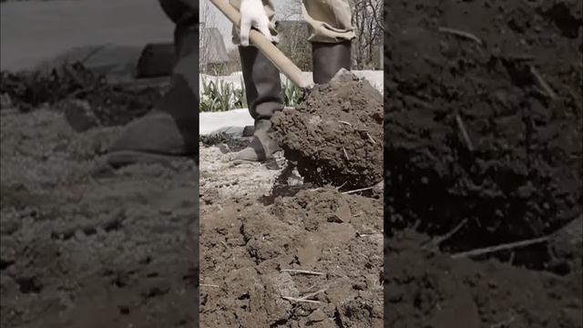 Sapogi Kirza boots with a shovel while working in the garden смотреть онлайн