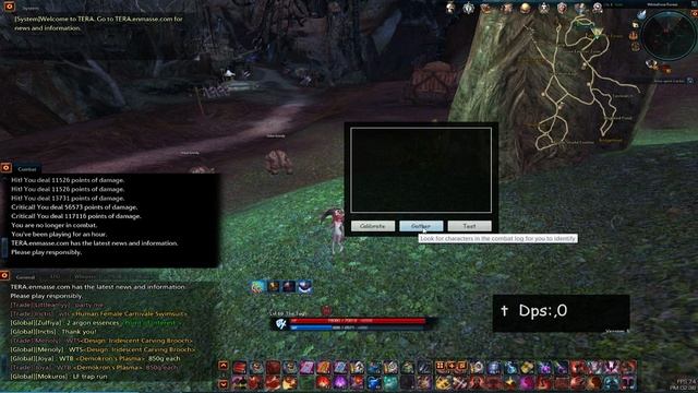 Tera Online Damage (DPS) Meter