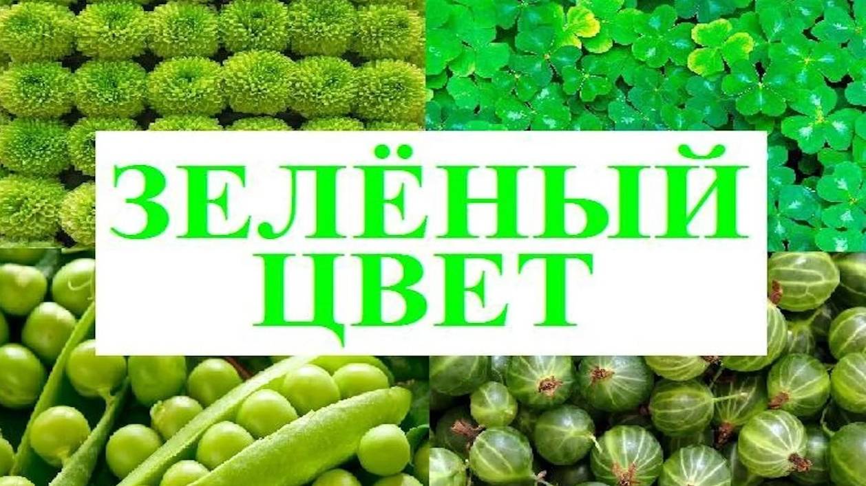 Изучаем цвета _ ЗЕЛЕНЫЙ цвет _ Обучающий и развивающий мультик для детей _ Слушать онлайн смотреть онлайн