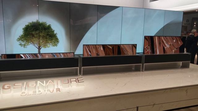 LG's 8K OLED TV Presentation, CES 2019 [4K Video] смотреть онлайн