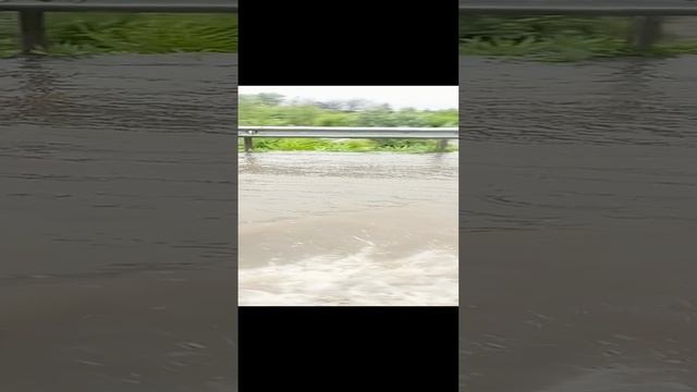 топила кафе Руслан 😭но он устоял💪