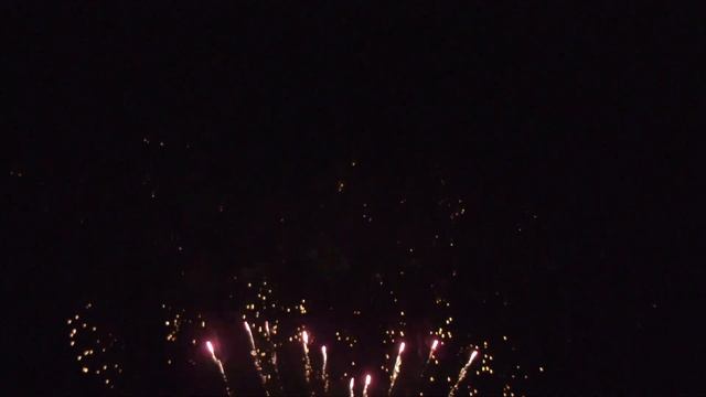 CP 305 1.2” x 100 Red wave tail to red wave w white strobe смотреть онлайн