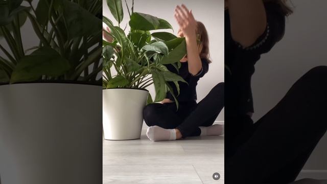 Ваши растение могут выглядеть лучше 😉