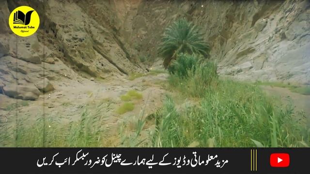 Saudia Sehra Mian Allah Pak Ka Mojza | Sajdy Main Allah Ky Wali Ki Wafat Hoi | Malumattube