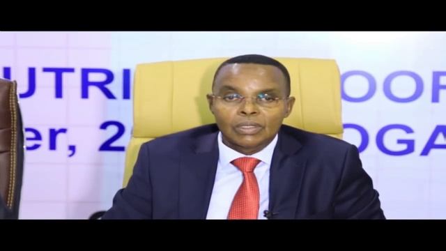 Warka Universal TV 26 12 2021 смотреть онлайн